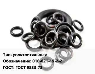 Кольцо РТИ уплотнительные 018-021-19-2-2 ГОСТ: ГОСТ 9833-73